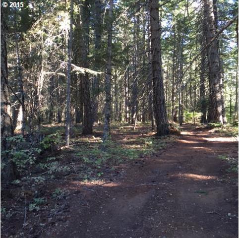 Prairie Road, Unit 54 Appleton, WA 98602 - Photo 12 of 16 Gallery Image 12