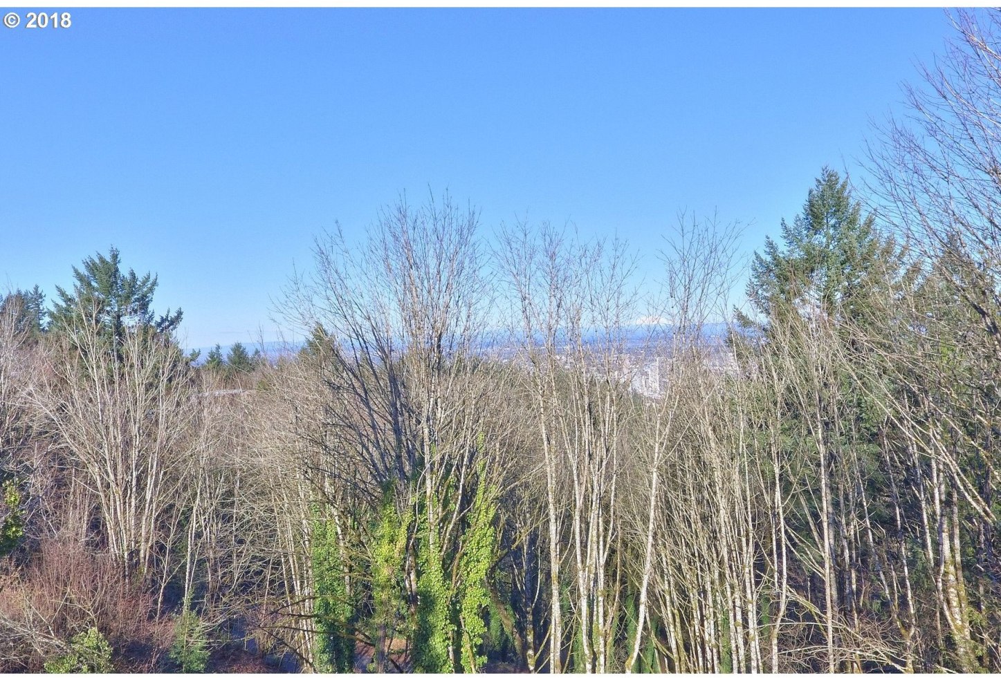 3061 Southwest Next To Portland, OR 97239 - Photo 25 of 27