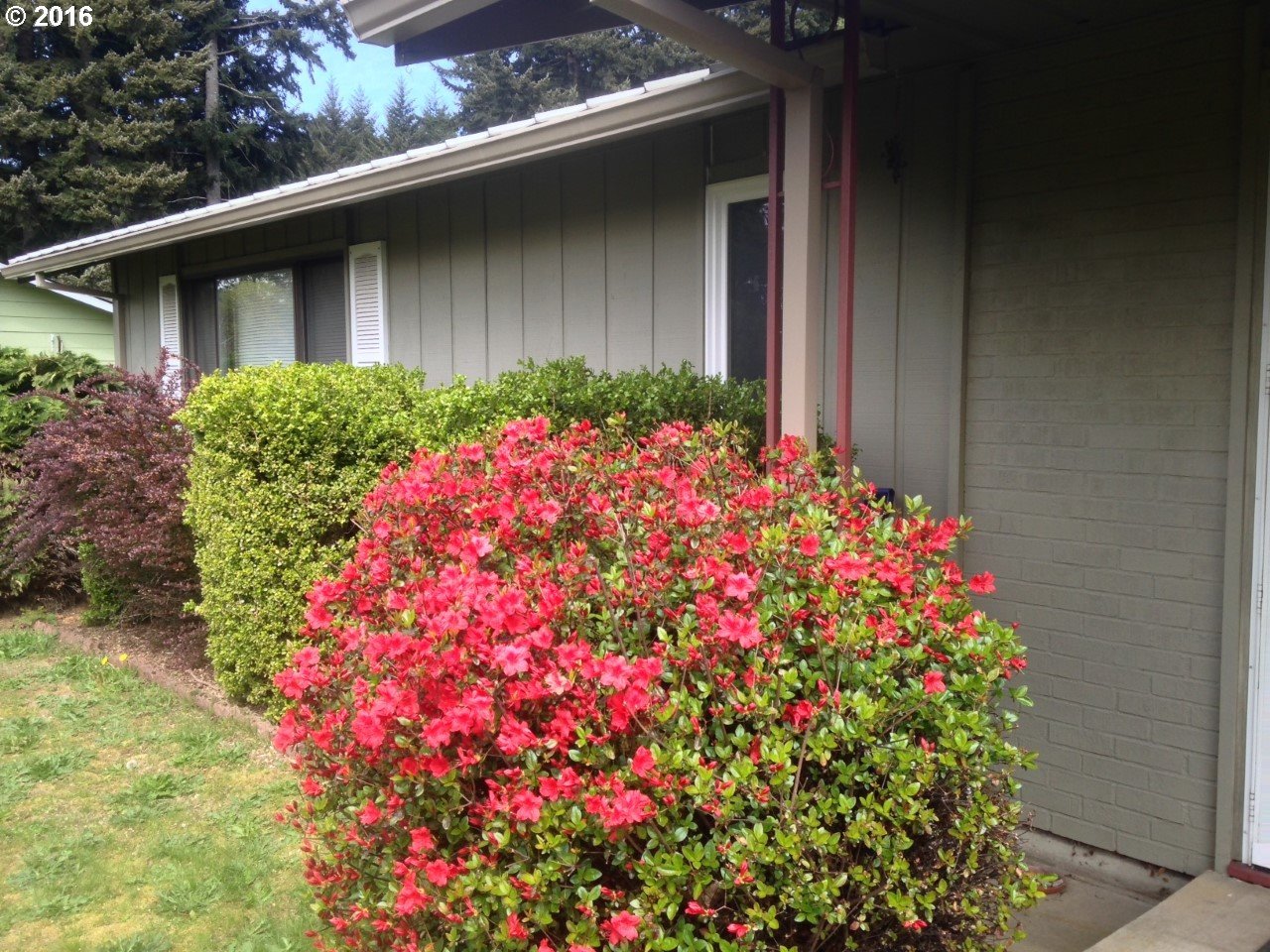62 Shipherd Falls Road Carson, WA 98610 - Photo 22 of 26 Gallery Image 22