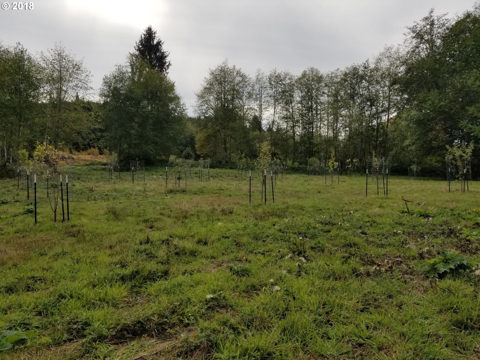 Elochoman Valley Cathlamet, WA 98612 - Photo 19 of 26