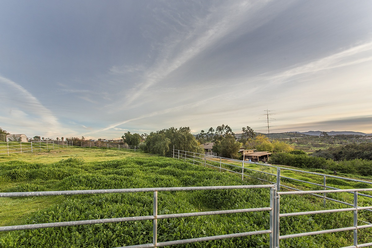10057 West Lilac Road Escondido, CA 92026 - Photo 24 of 25 Arena area & corals.