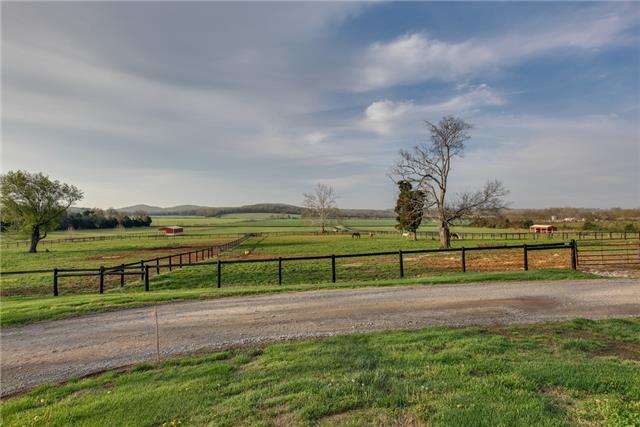 13920 Patterson Road College Grove, TN 37046 - Photo 2 of 30 Doesn't this make your breathing immediately relax???