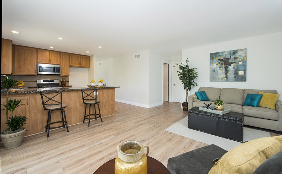 158 Rodney Avenue Encinitas, CA 92024 - Photo 11 of 25