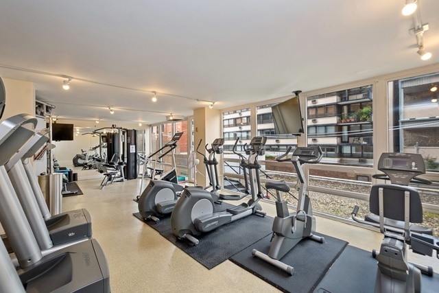 50 E Bellevue Pl, Chicago, IL 60611 - Photo 5 of 9