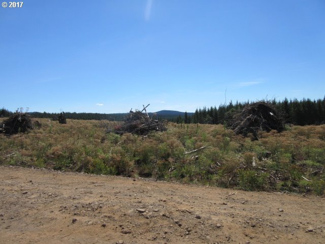 Deverell Road Corbett, OR 97019 - Photo 10 of 20 Gallery Image 10