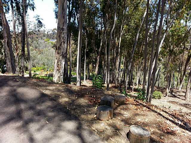 15645 Puerta Del Sol Rancho Santa Fe, CA 92067 - Photo 10 of 10
