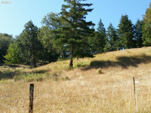 3450 Hogan Road Oakland, OR 97462 - Photo 6 of 16