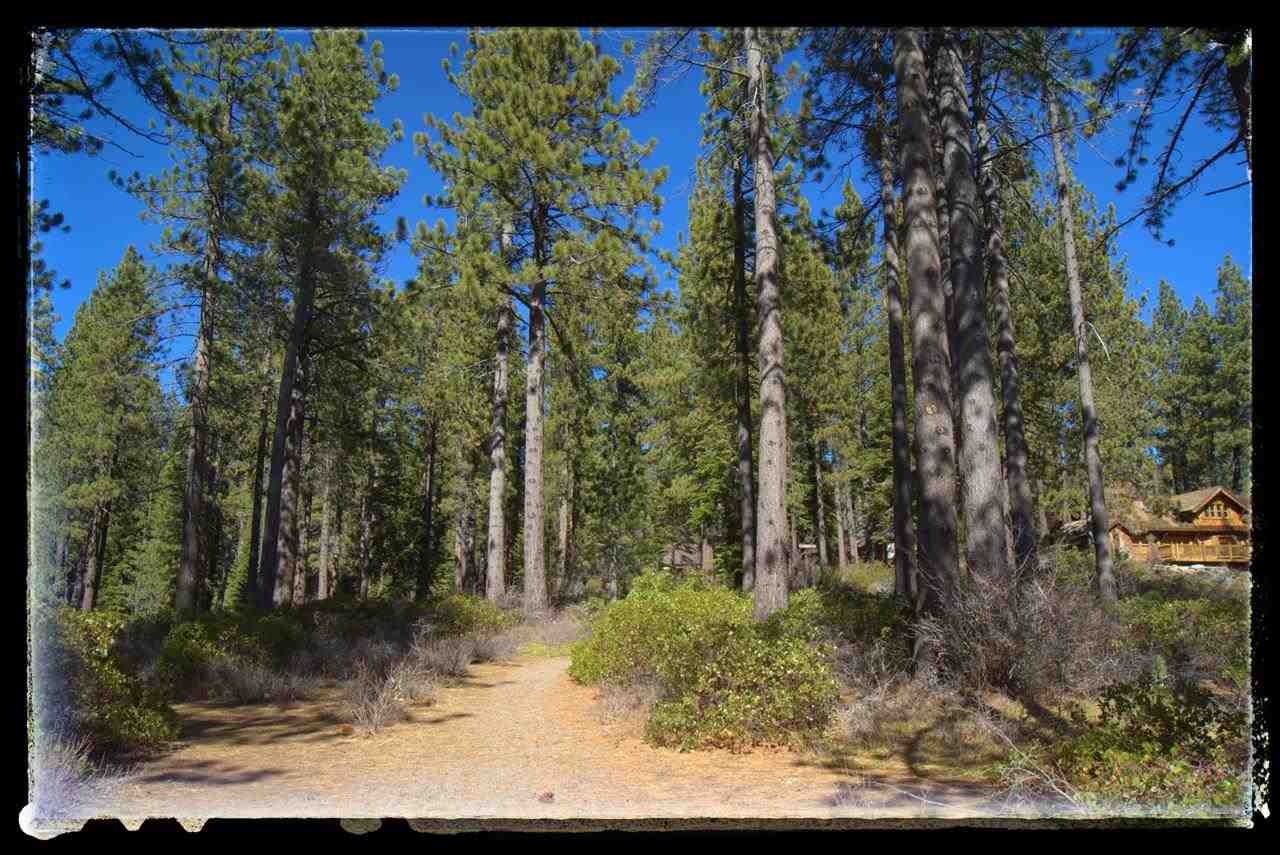 2566 Lake Forest Road Tahoe City, CA 96145 - Photo 7 of 14