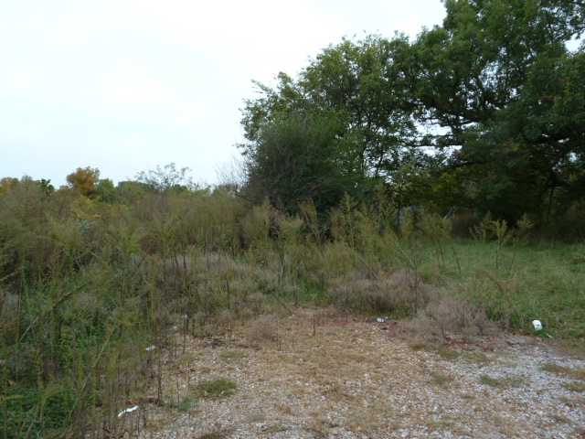 181 McClerkin Road Burlison, TN 38015 - Photo 2 of 2 Gallery Image 2