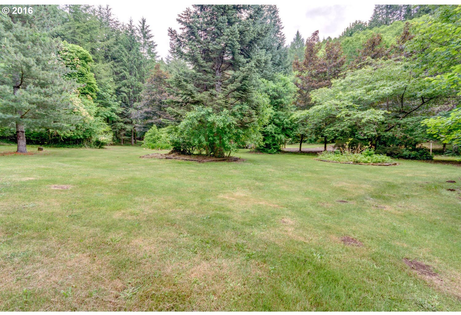 605 Yale Bridge Road Ariel, WA 98603 - Photo 4 of 10 Gallery Image 4
