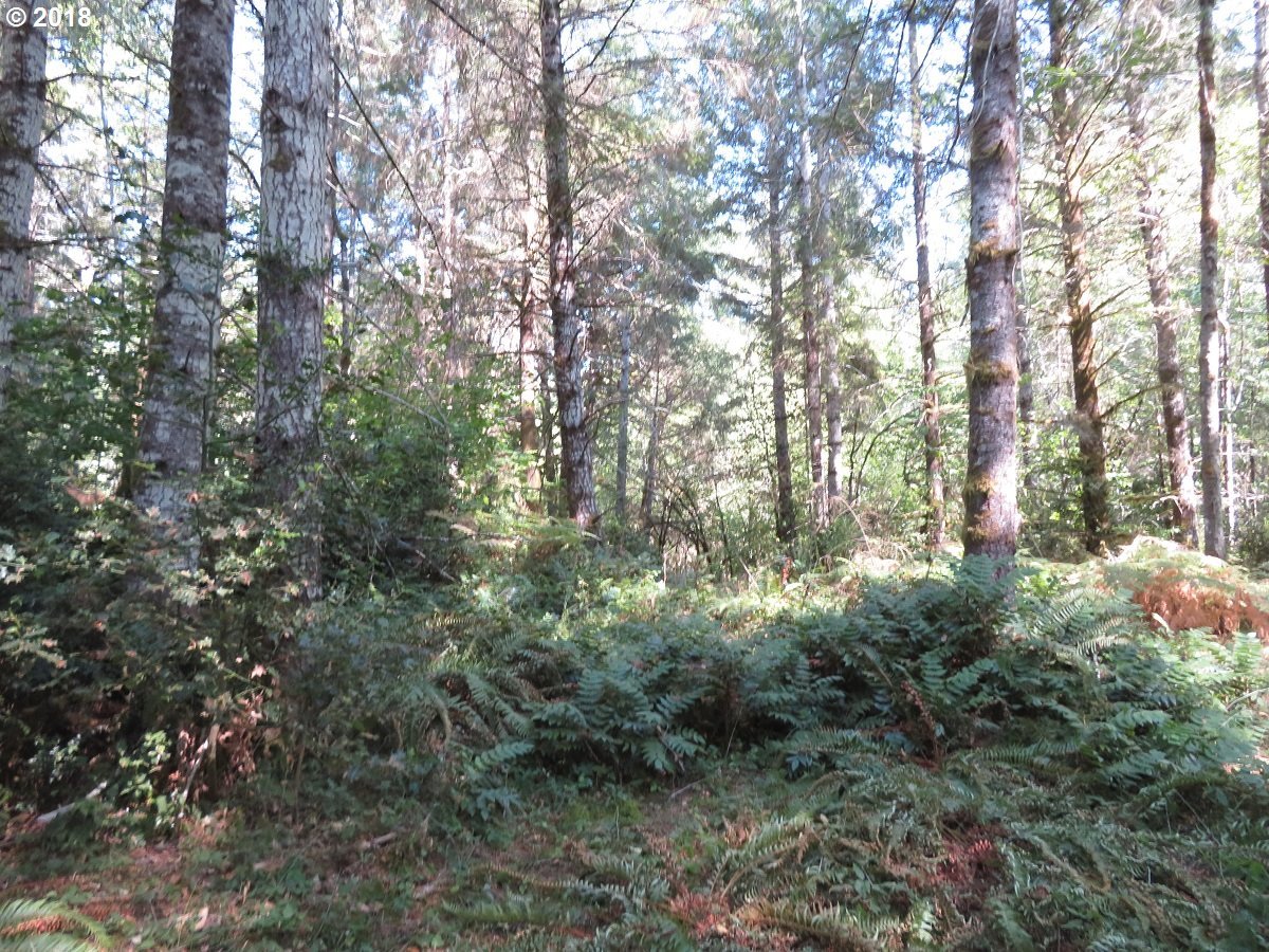 East Thomas Road Grapeview, WA 98546 - Photo 11 of 32 Gallery Image 11