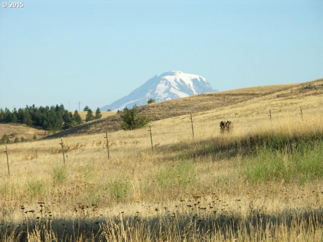 Hida Way Lyle, WA 98635 - Photo 7 of 16 Gallery Image 7