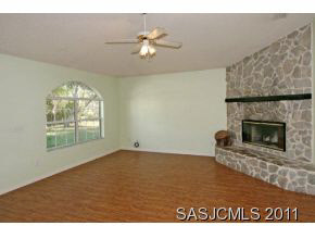 132 Gentian Road St. Augustine, FL 32086 - Photo 6 of 18 FIREPLACE