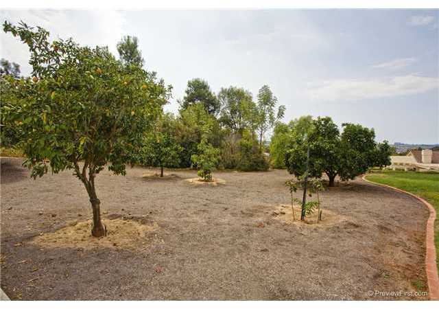 13223 Silver Saddle Lane Poway, CA 92064 - Photo 15 of 17