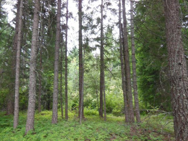 Martin Road Trout Lake, WA 98650 - Photo 2 of 10 Gallery Image 2