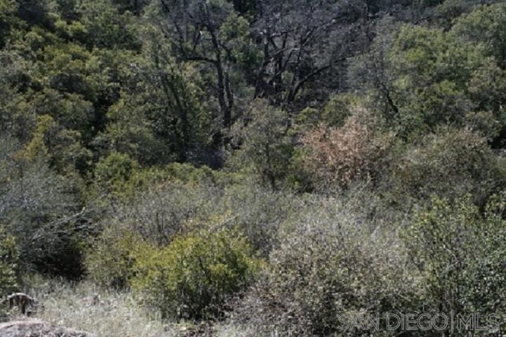 0 West Incense Cedar Road Julian, CA 92036 - Photo 24 of 25 Gallery Image 24