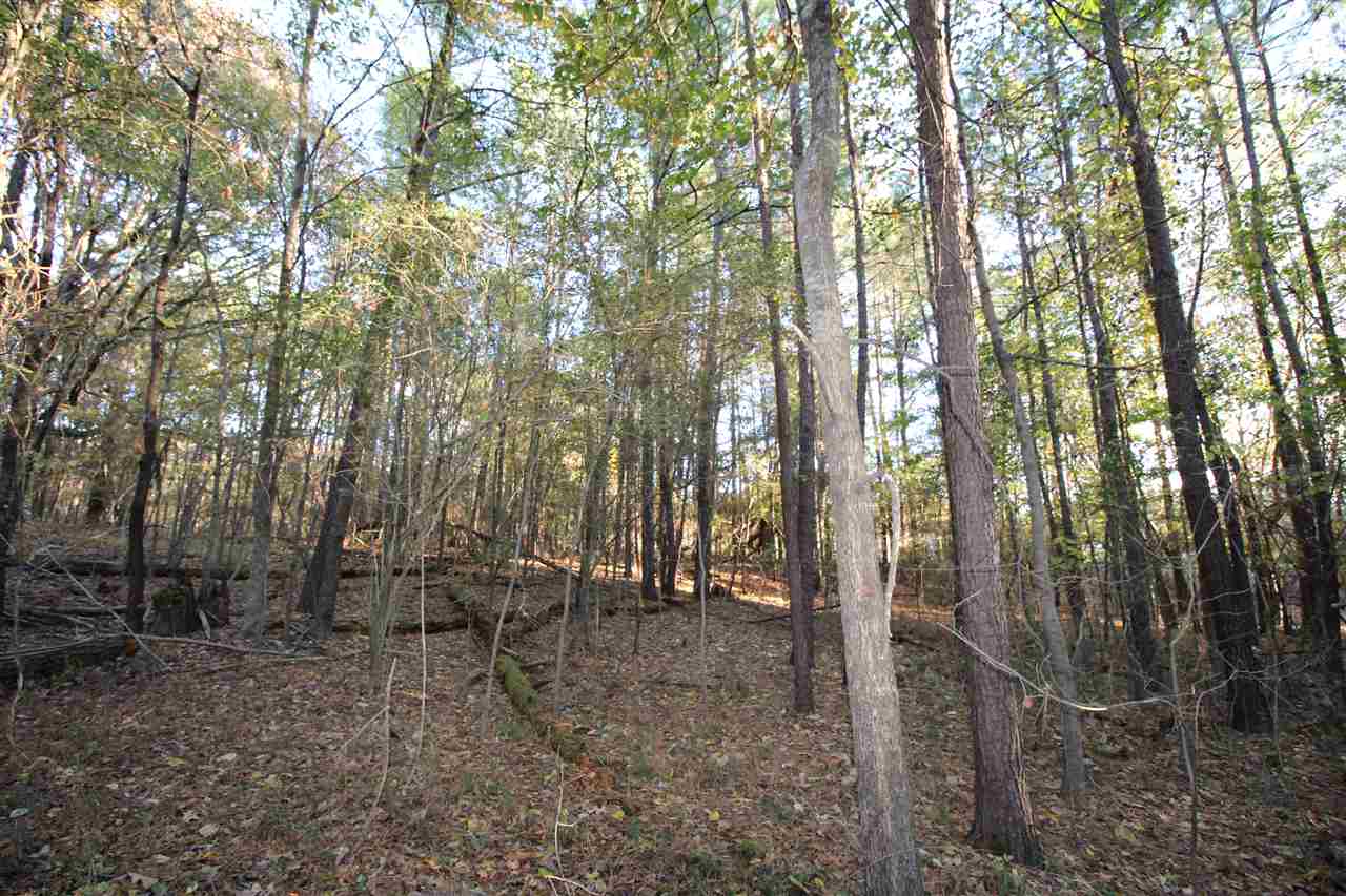 1086 Dent Road Eads, TN 38028 - Photo 11 of 24 Gallery Image 11