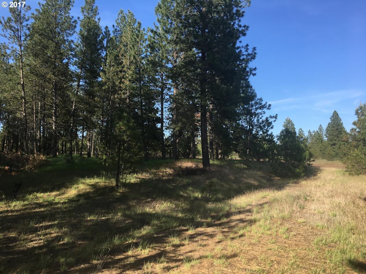 Montgomery Road Deer Park, WA 99006 - Photo 2 of 5 Gallery Image 2