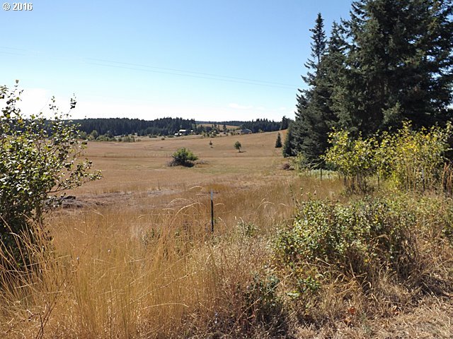 Pyatt Road White Salmon, WA 98672 - Photo 13 of 15