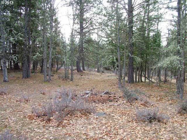 Austin Road Goldendale, WA 98620 - Photo 14 of 15 Gallery Image 14