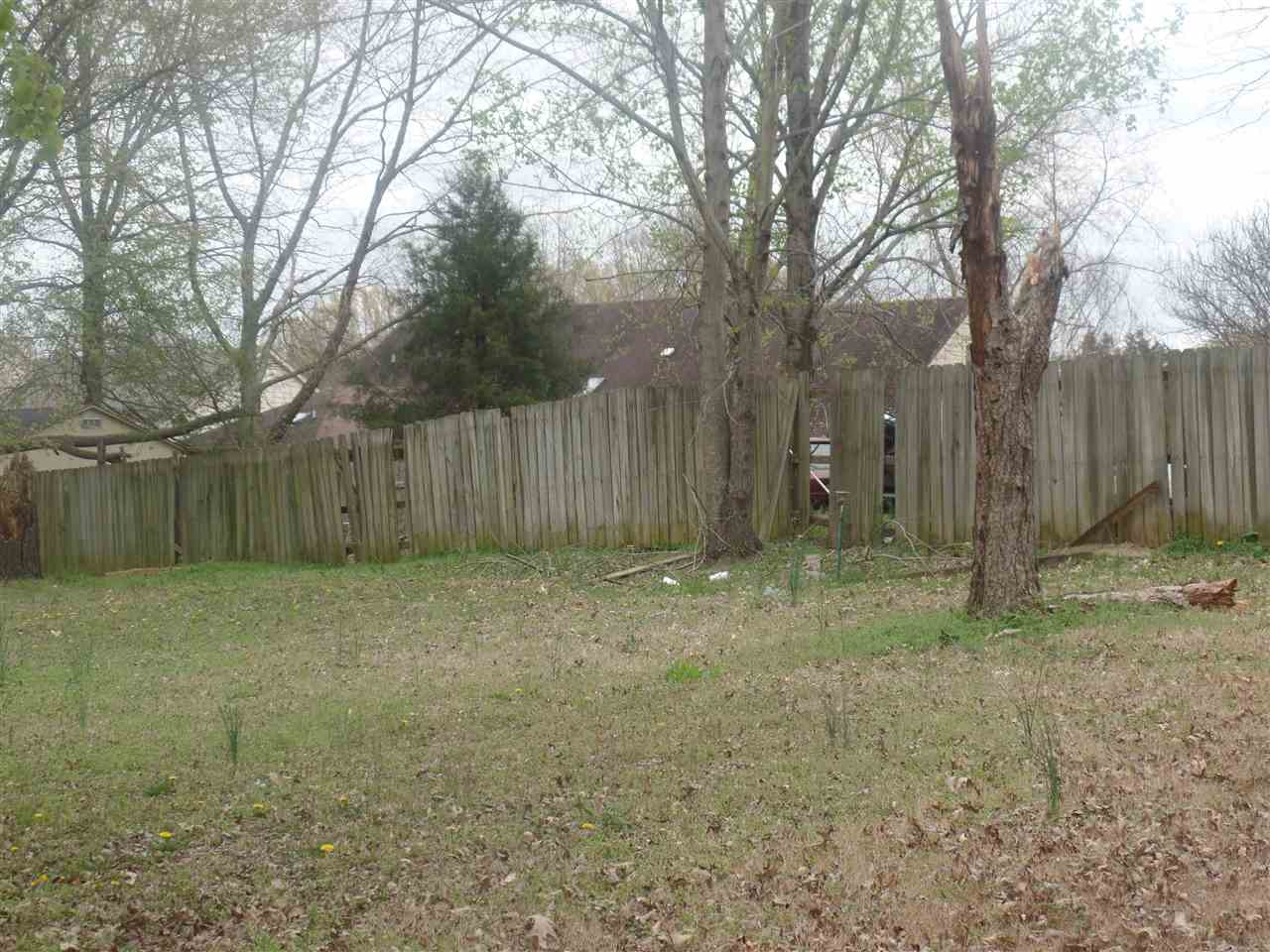 7105 Cutter Mill Road Memphis, TN 38141 - Photo 15 of 17
