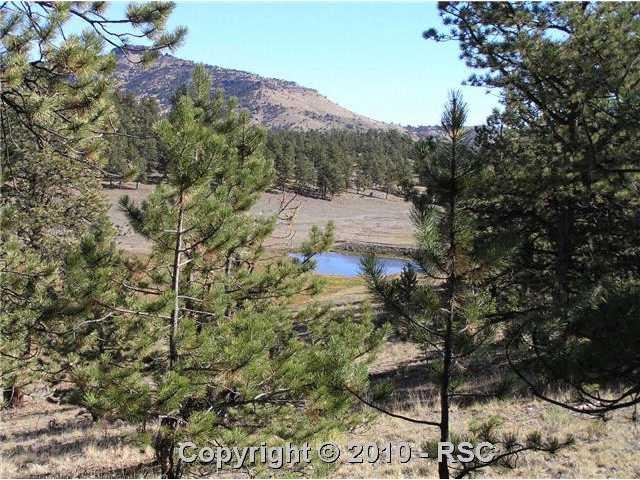 275 Jack Younce Road Guffey, CO 80820 - Photo 13 of 16 View of neighbors pond