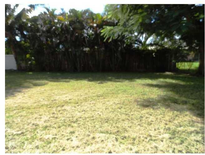 14730 Southwest 176th Street Miami, FL 33187 - Photo 19 of 19