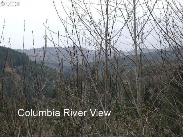 715 Modrow Road Kalama, WA 98625 - Photo 2 of 8 Gallery Image 2