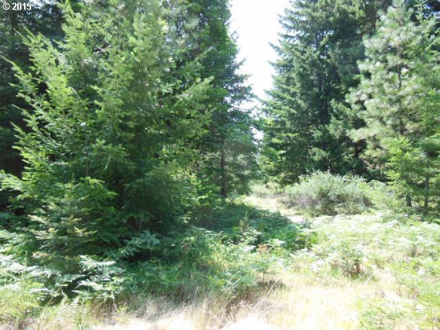 24 Strong Road Trout Lake, WA 98650 - Photo 6 of 10 Gallery Image 6