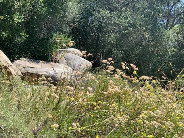 Camino Rainbow Fallbrook Ca Fallbrook, CA 92028 - Photo 10 of 25