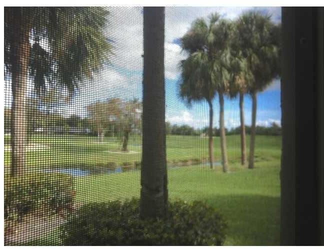 16100 Golf Club Road, Unit 113 Weston, FL 33326 - Photo 12 of 17 Gallery Image 12