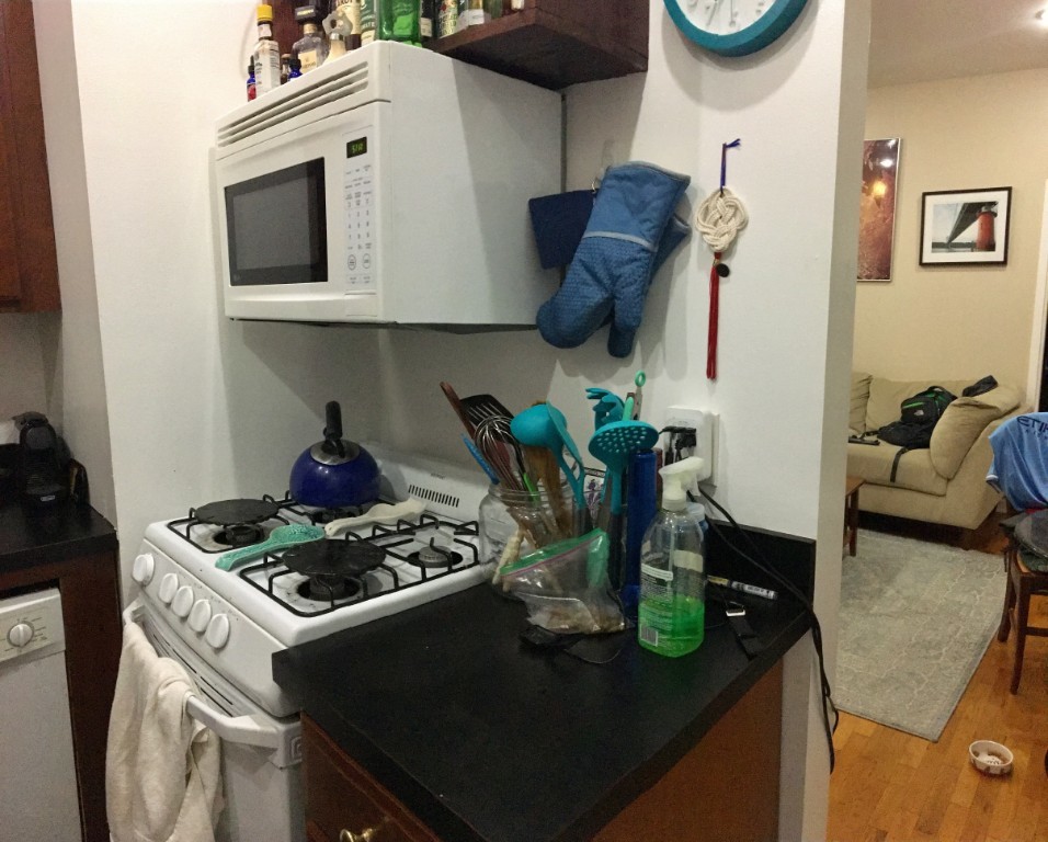 305 East 95th Street, Unit 2G Manhattan, NY 10128 - Photo 5 of 10