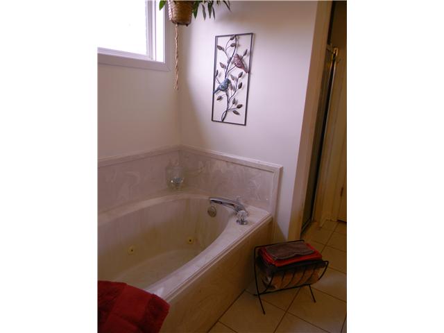 141 Stephen Hill Road Atoka, TN 38004 - Photo 15 of 25 Jetted tub, separate shower, double sink vanity, and walk-in closet