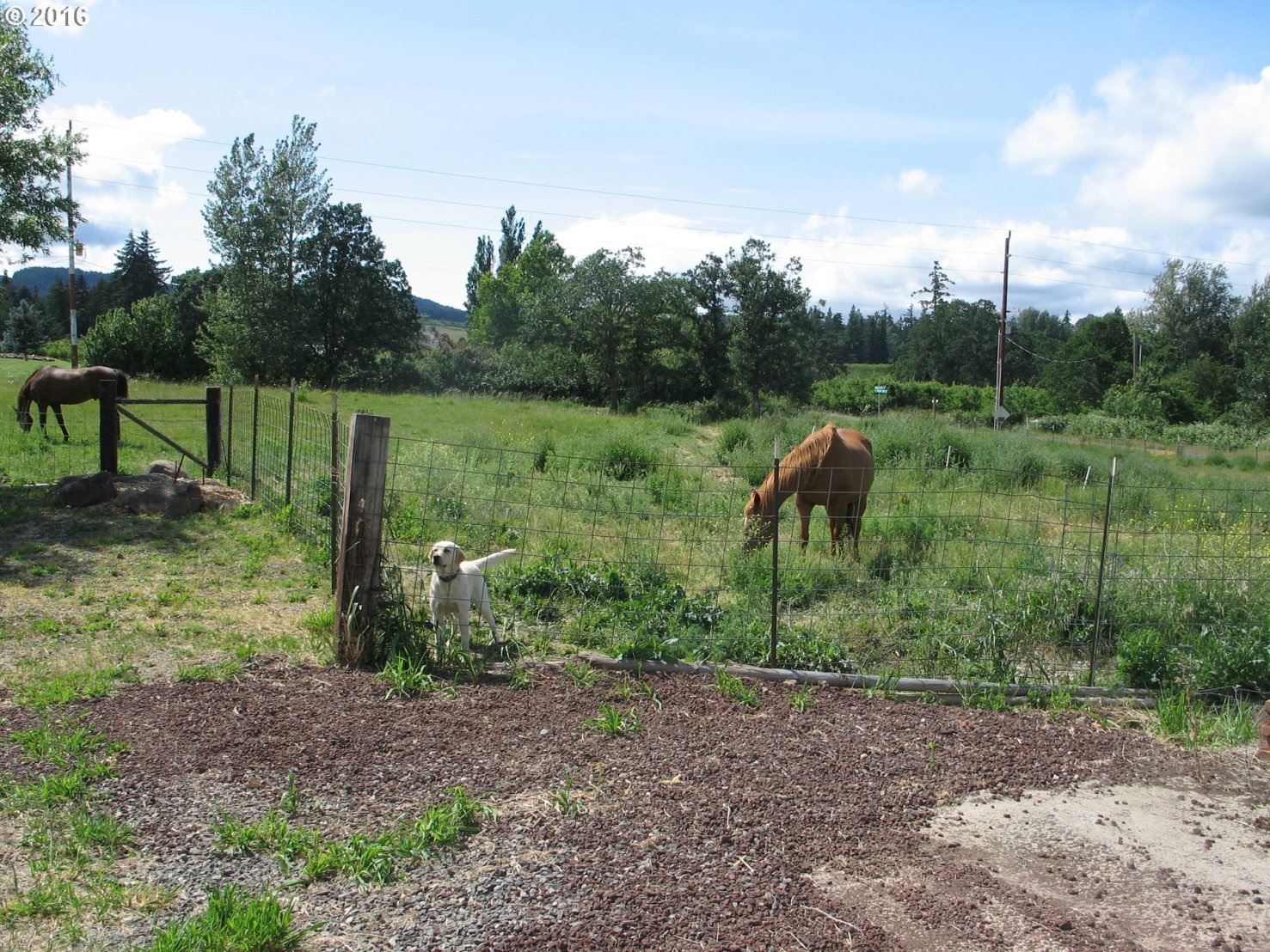 1621 Markham Road Hood River, OR 97031 - Photo 30 of 32 Gallery Image 30