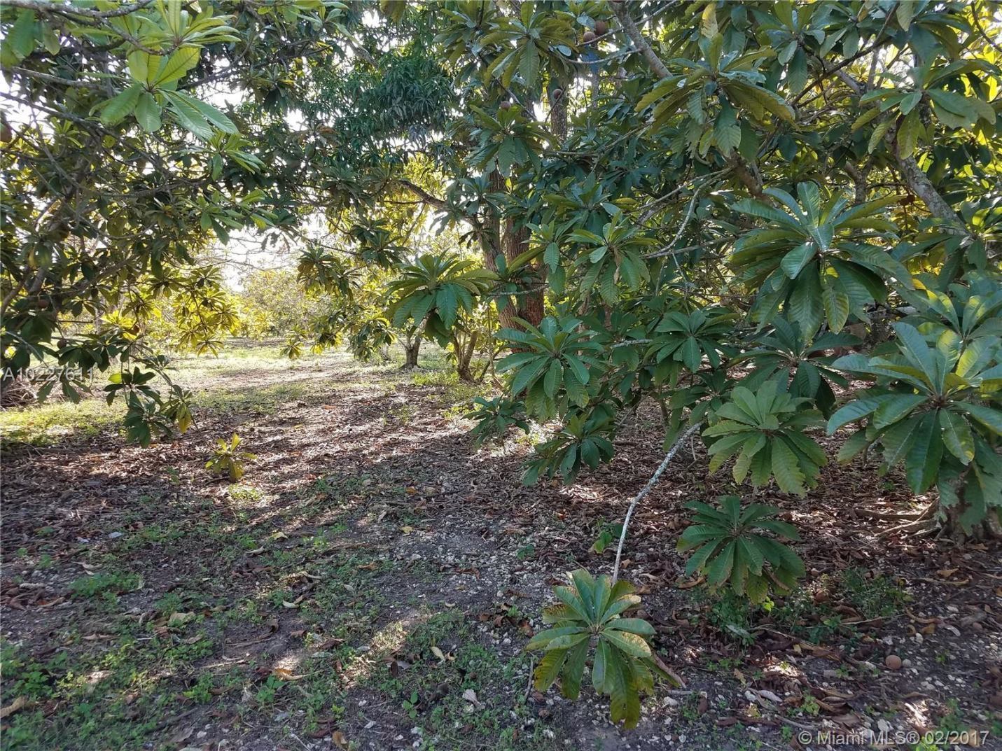 17455 Southwest 192nd Street Miami, FL 33187 - Photo 25 of 33