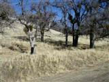 17666 County Park Road Tehachapi, CA 93561 - Photo 3 of 10 Gallery Image 3