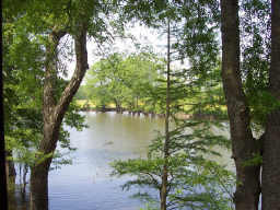 349 Chisholm Lake Road Ripley, TN 38063 - Photo 10 of 10