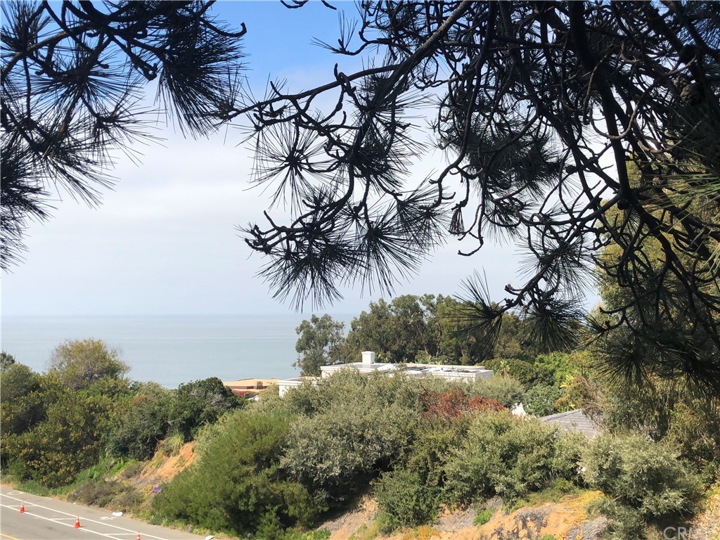 240 Ocean View Avenue Del Mar, CA 92014 - Photo 8 of 14