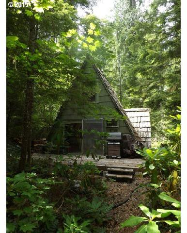 20 Breitenbush Road Detroit, OR 97342 - Photo 2 of 2