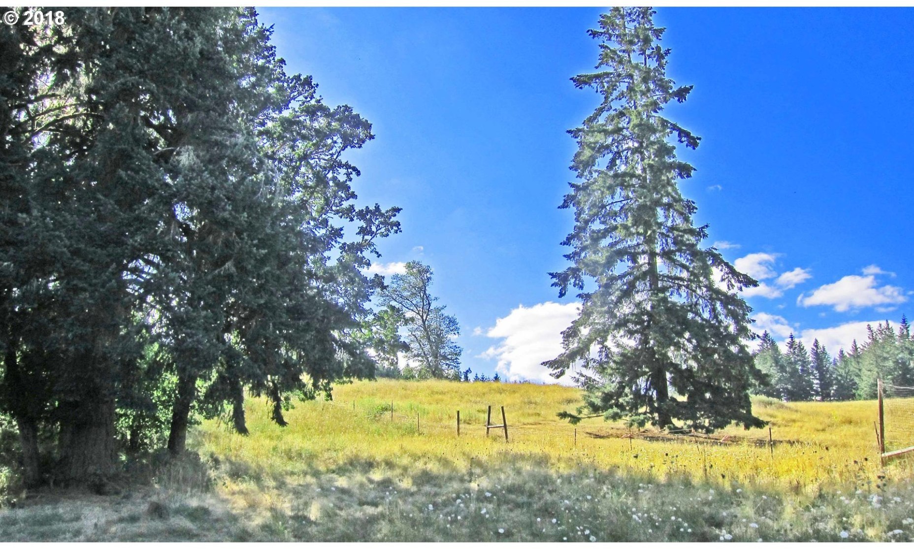 82910 Simonsen Road Eugene, OR 97405 - Photo 22 of 31 Gallery Image 22