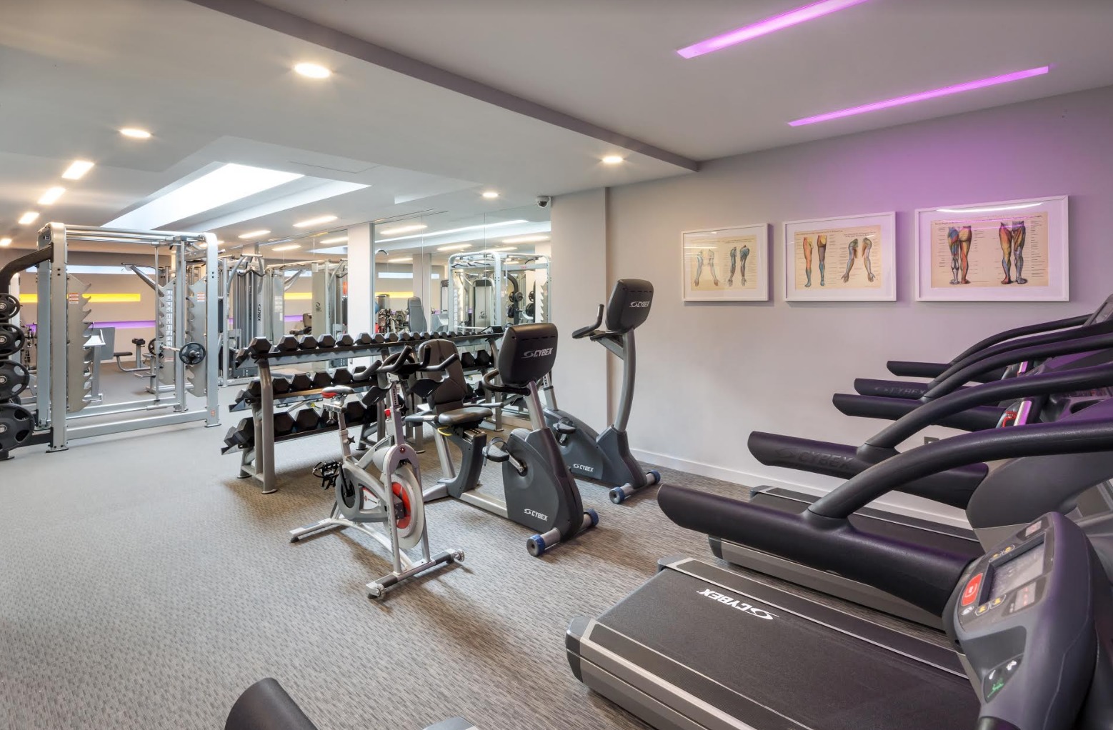 306 West 48th Street, Unit 12C Manhattan, NY 10036 - Photo 7 of 10