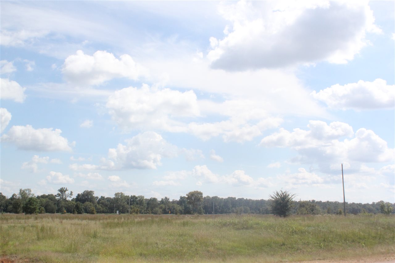 0 Highway 72 Road Lamar, MS 38642 - Photo 15 of 19 Gallery Image 15