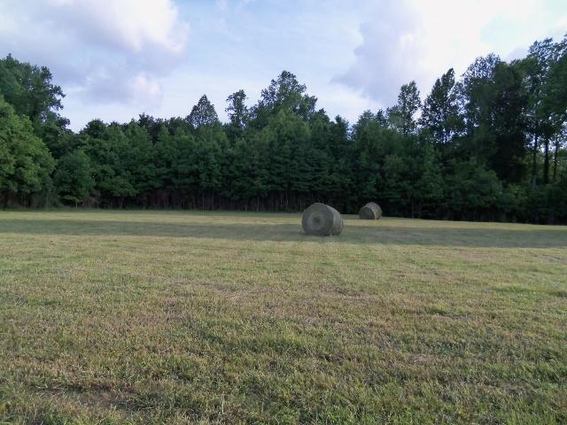 468 Corders Crossroads Road Fayetteville, TN 37334 - Photo 1 of 22