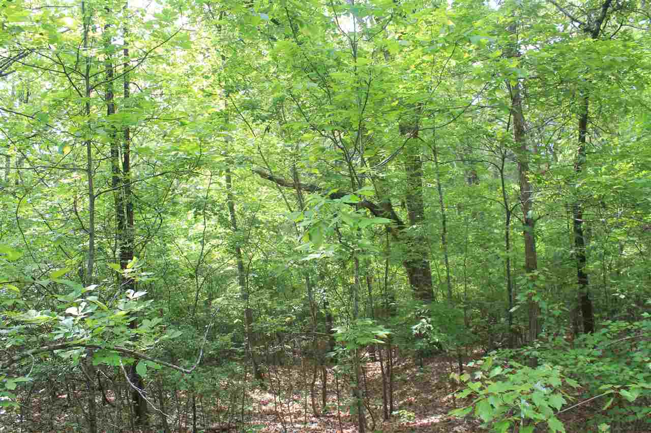 201 Davis Road Byhalia, MS 38611 - Photo 16 of 24 Gallery Image 16