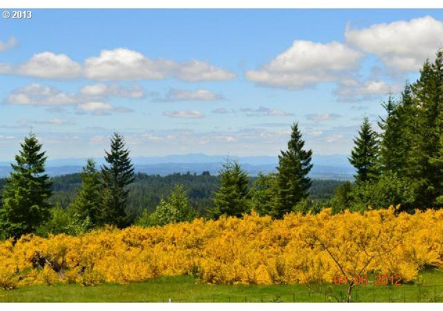 3095 Spring Villa Road Southeast Silverton, OR 97381 - Photo 1 of 16 Gallery Image 1