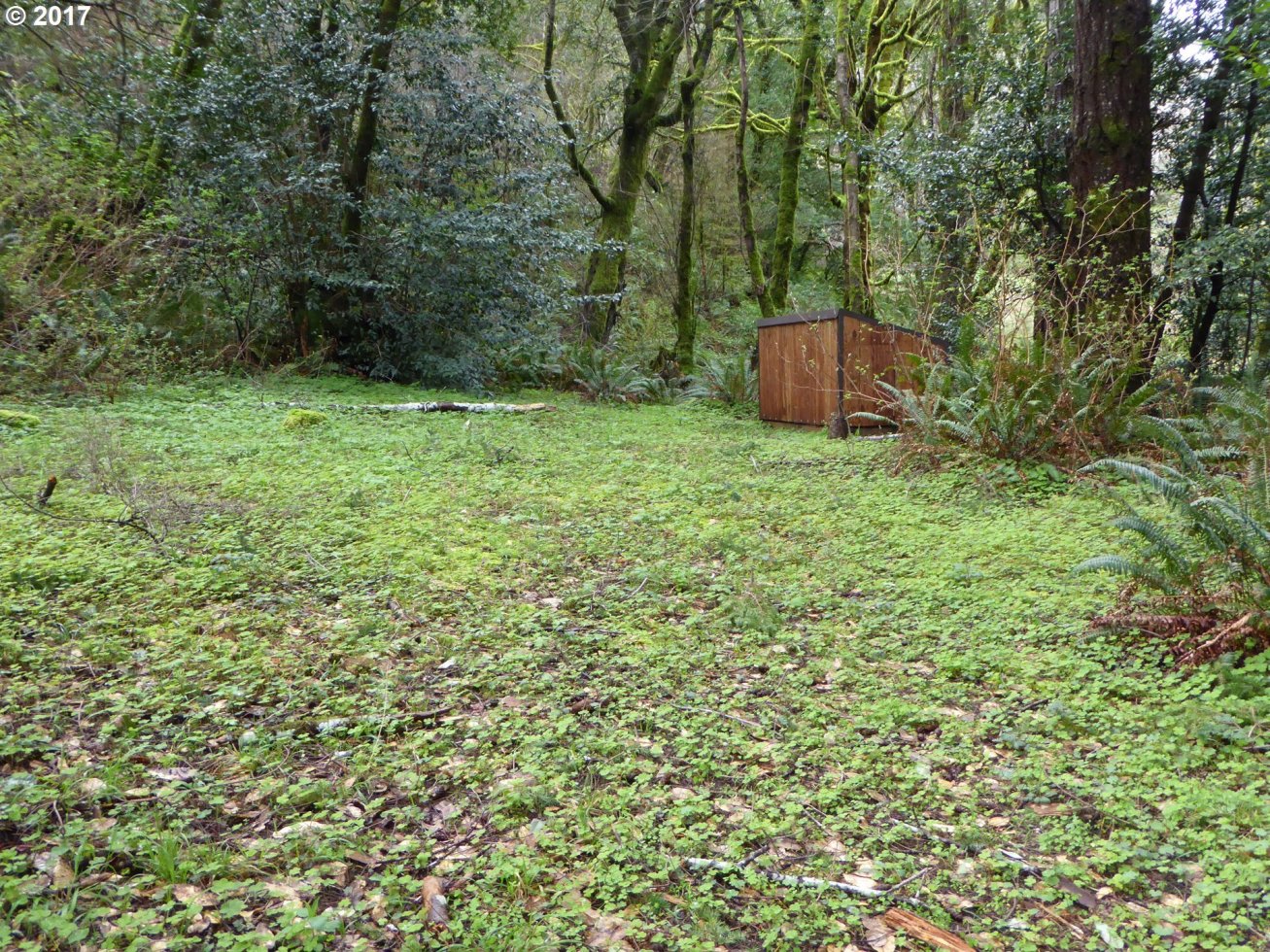 30218 Hummingbird Hill Road Gold Beach, OR 97444 - Photo 16 of 32 Gallery Image 16