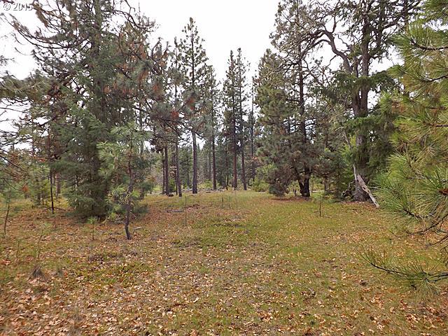 Turkey Run Road Goldendale, WA 98620 - Photo 5 of 12 Gallery Image 5