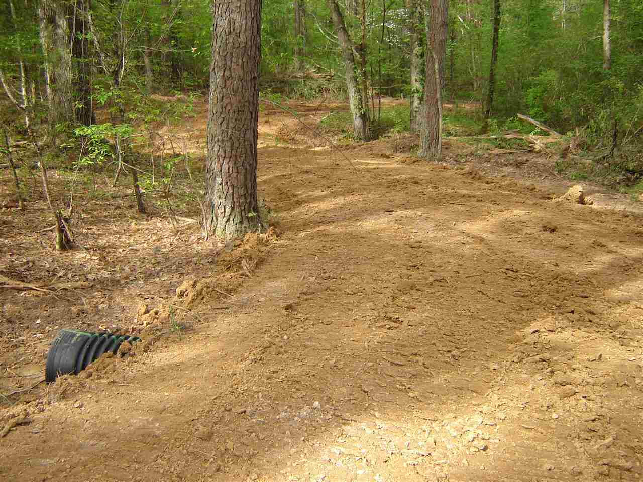 1120 Dent Road Eads, TN 38028 - Photo 4 of 4 Gallery Image 4