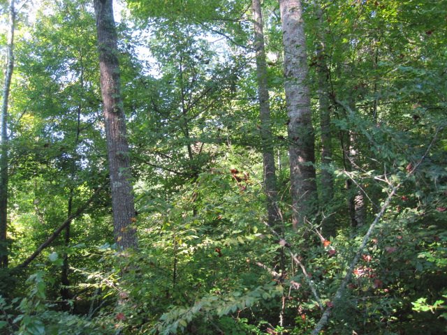 252 Duke Road Pope, MS 38658 - Photo 22 of 25 Gallery Image 22