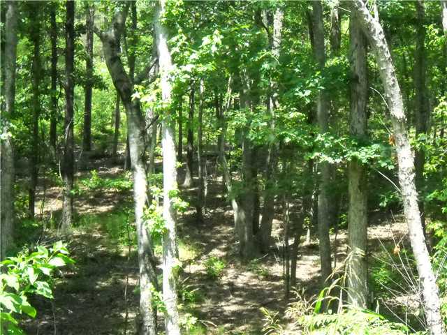 3000 Ramer Selmer Road Ramer, TN 38367 - Photo 11 of 14 Gallery Image 11